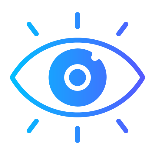 vision